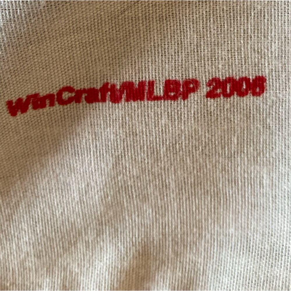 Minnesota Twins 2006 Homer Hanky. - Picture 3 of 3